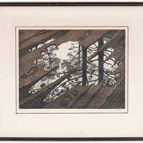M.C. Escher: "Puddle" Photo